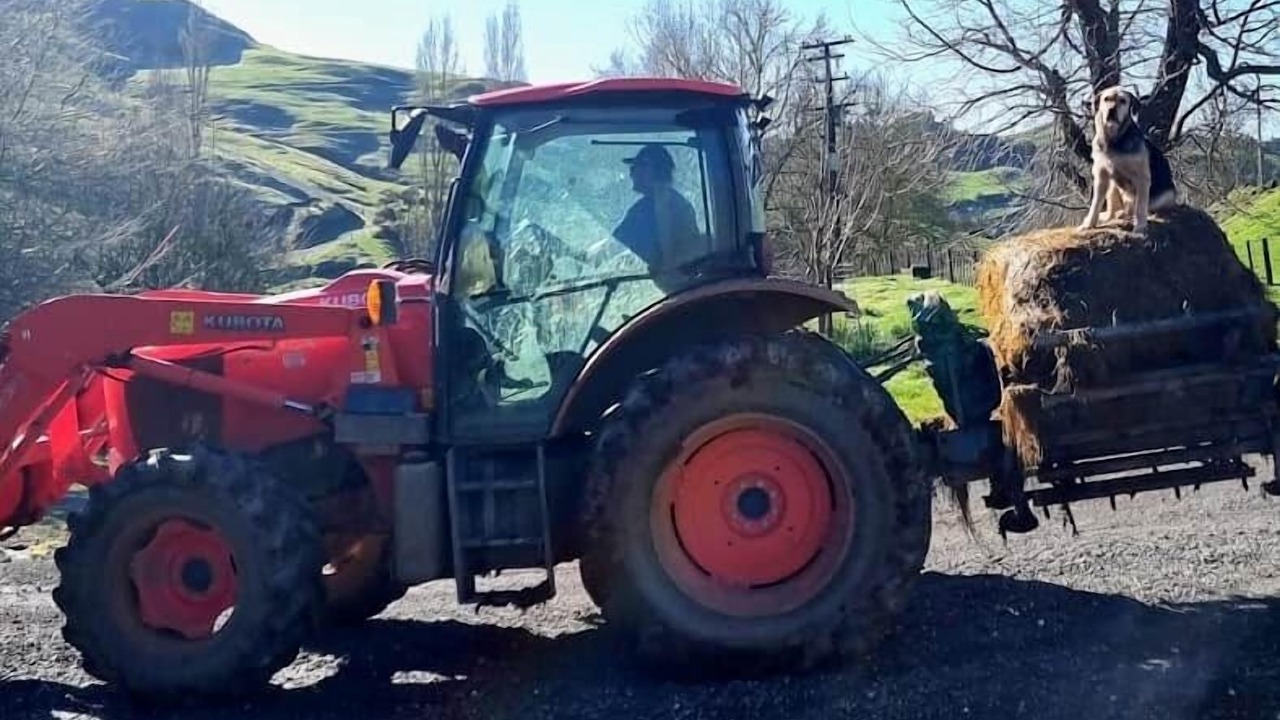 Photo of Others in Waitomo District