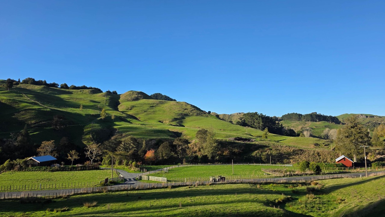 Photo of Others in Waitomo District