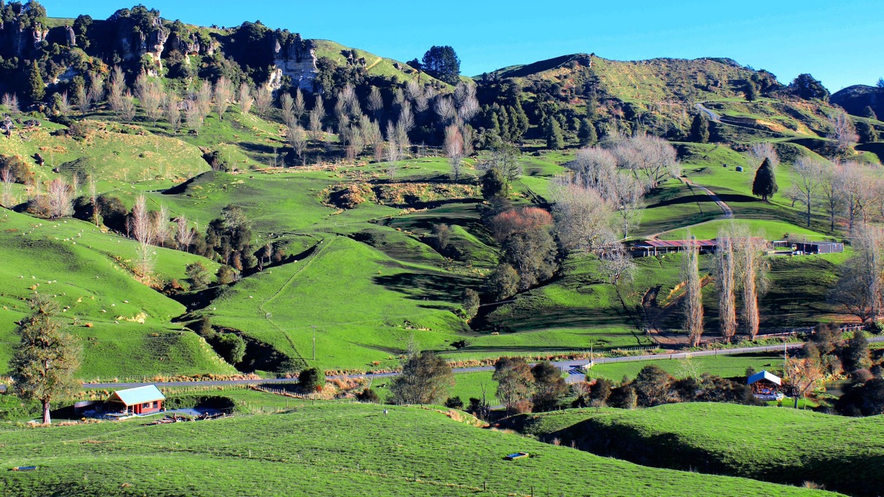 Photo of Others in Waitomo District