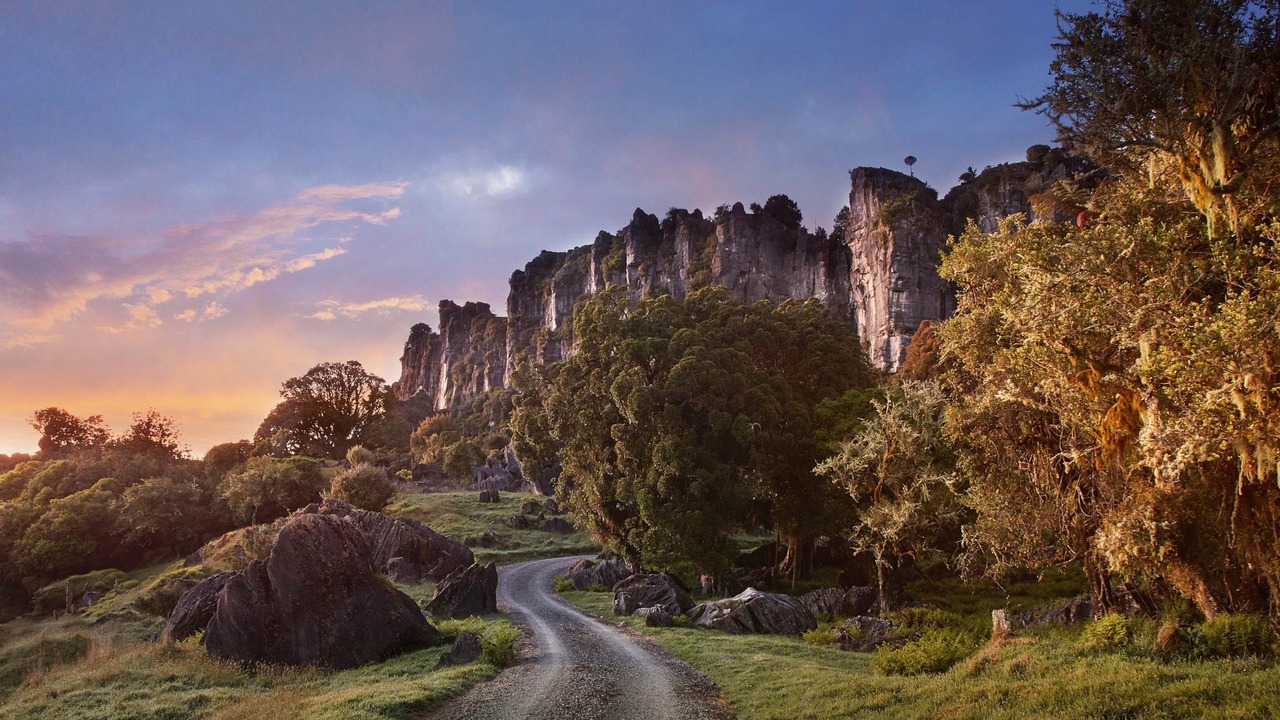 Photo of Others in Waitomo District