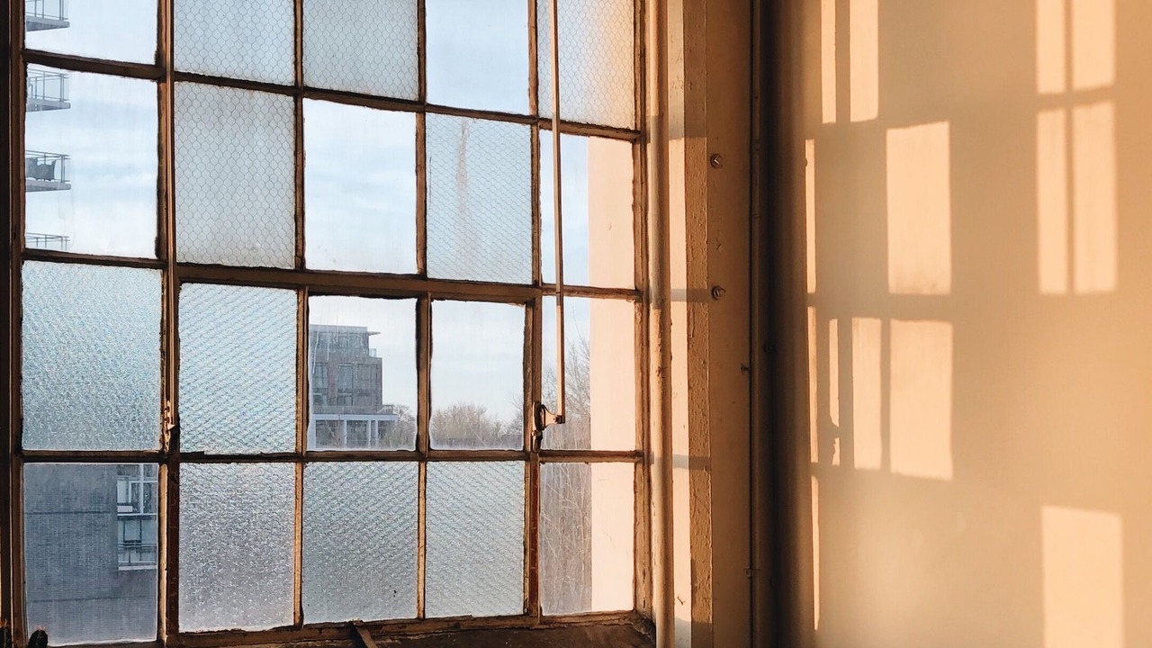 Photo of Others in Leslieville