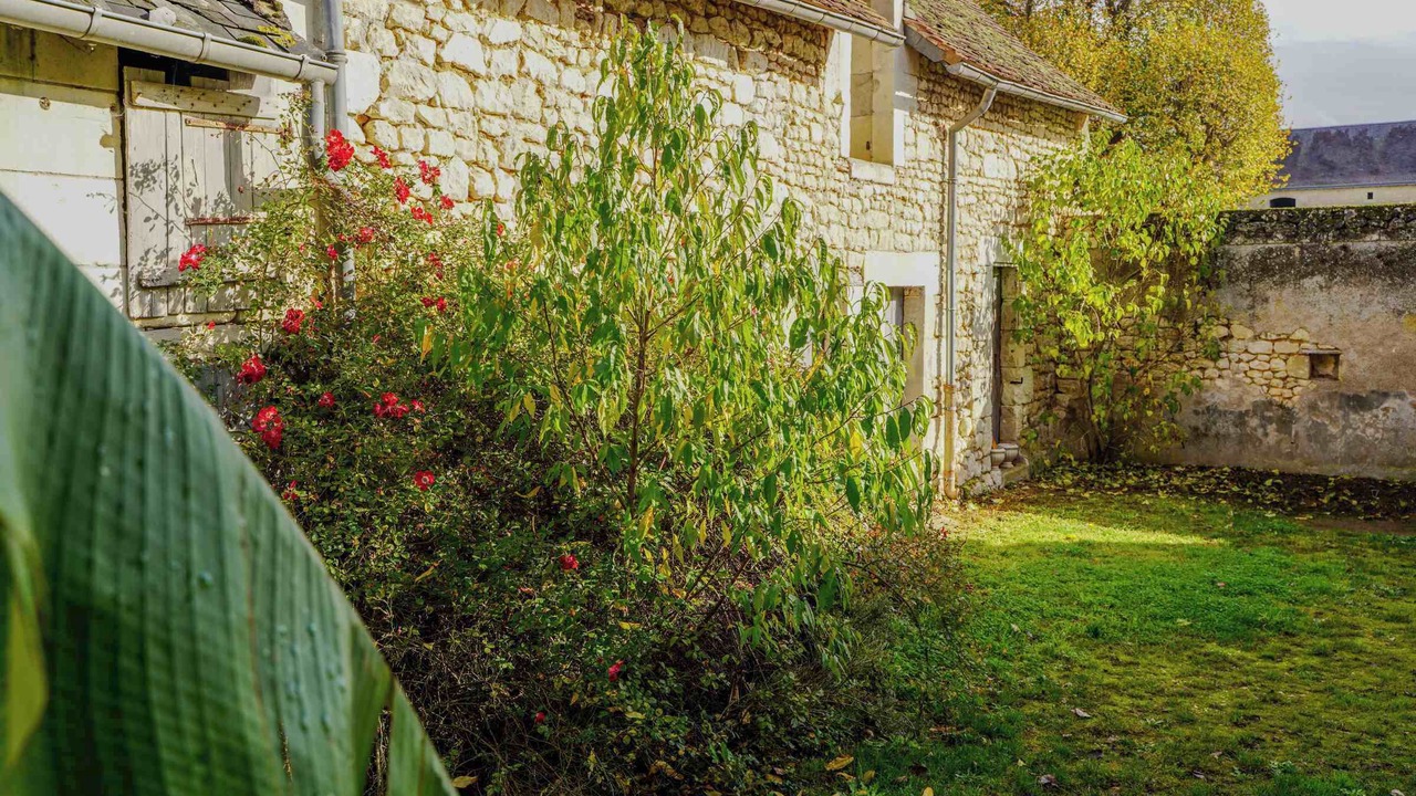 Photo of Outdoor in Parcay-sur-Vienne