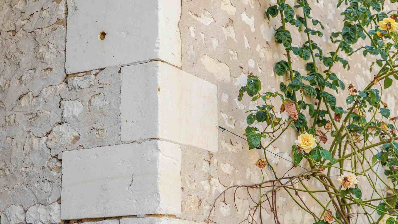 Photo of Outdoor in Parcay-sur-Vienne