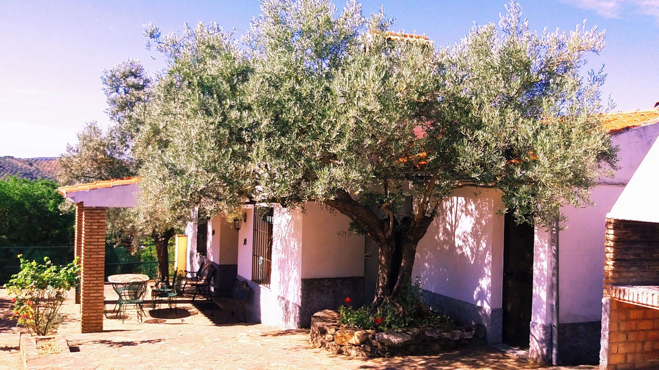 Photo of Patio Balcony in Pozoblanco
