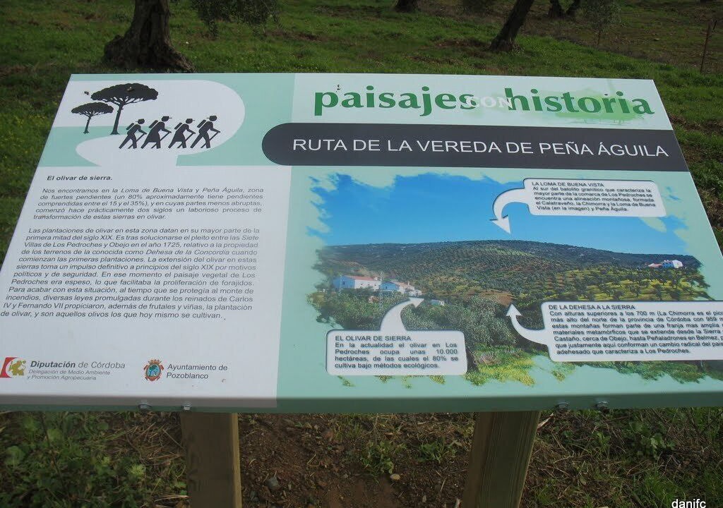 Photo of Others in Pozoblanco