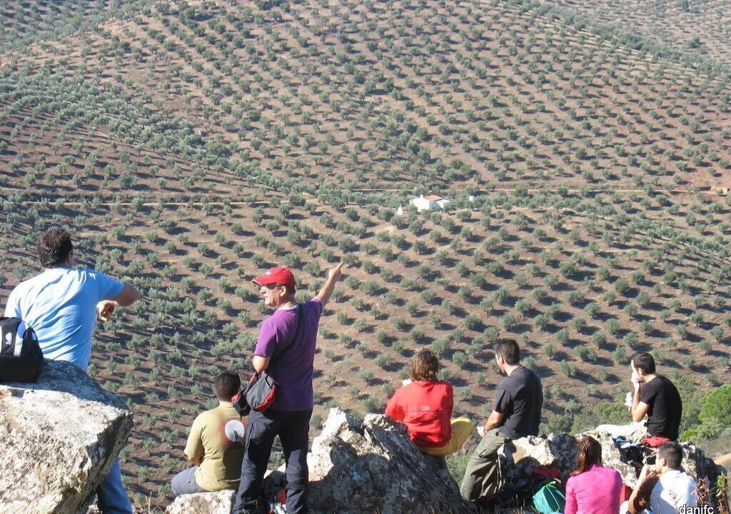 Photo of Others in Pozoblanco