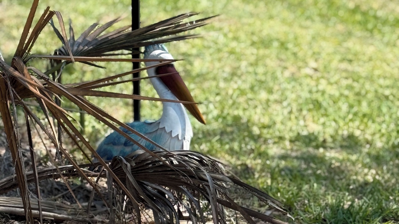 Photo of Others in Anahuac