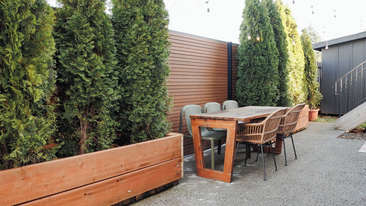 Photo of Outdoor in Cornwall Park