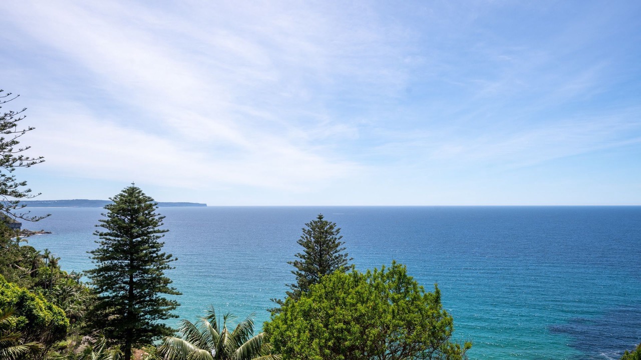Photo of Others in Whale Beach