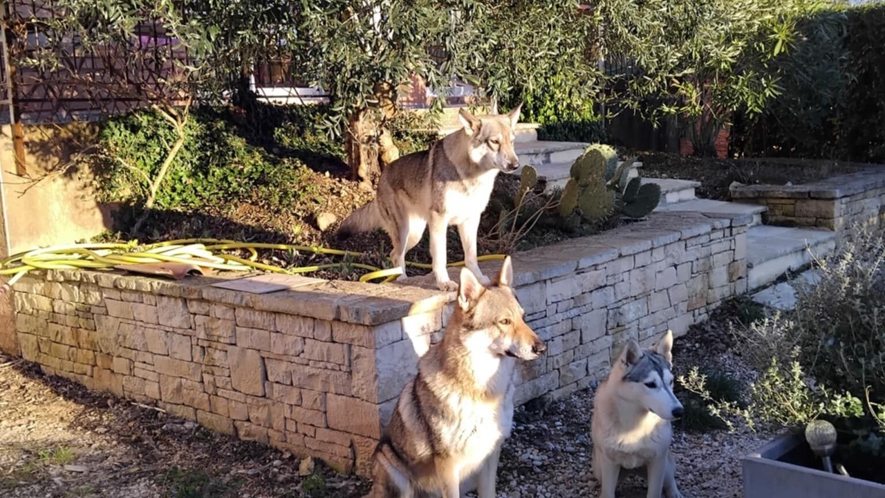 Photo of Outdoor in Orgnac-l'Aven