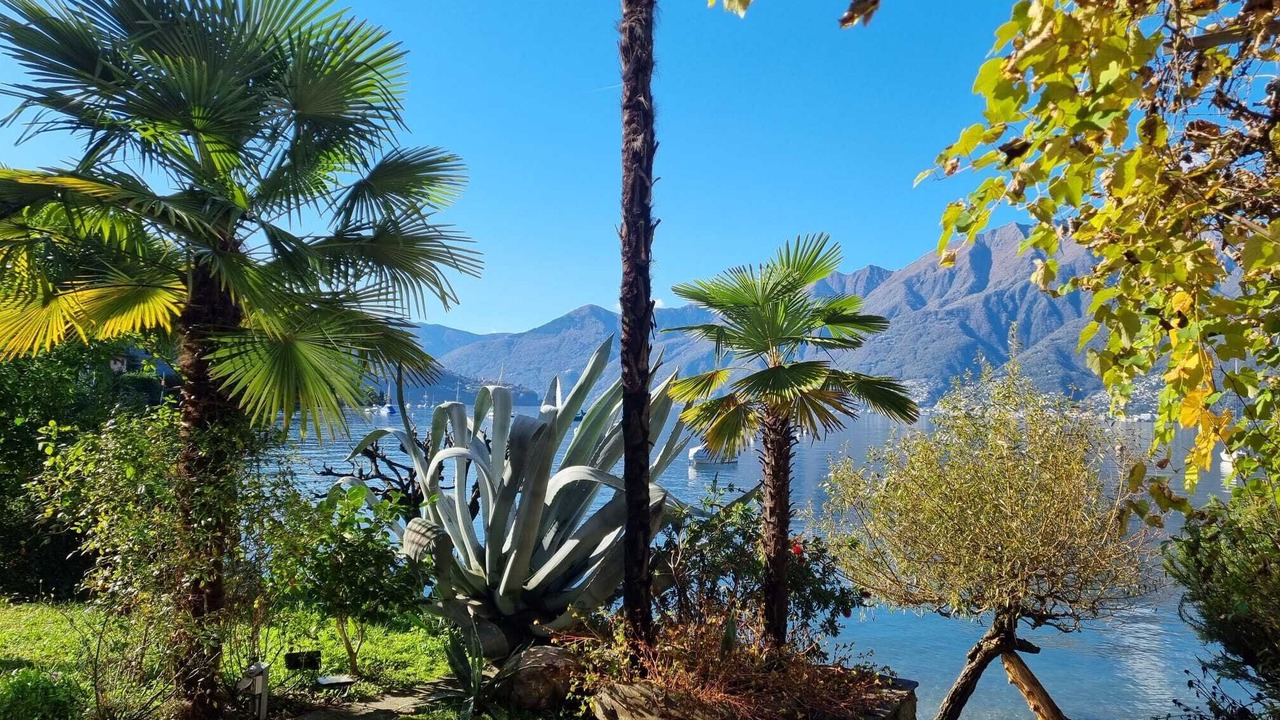 Photo of Outdoor in Ranzo