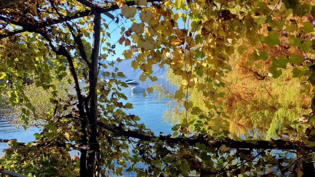 Photo of Outdoor in Ranzo