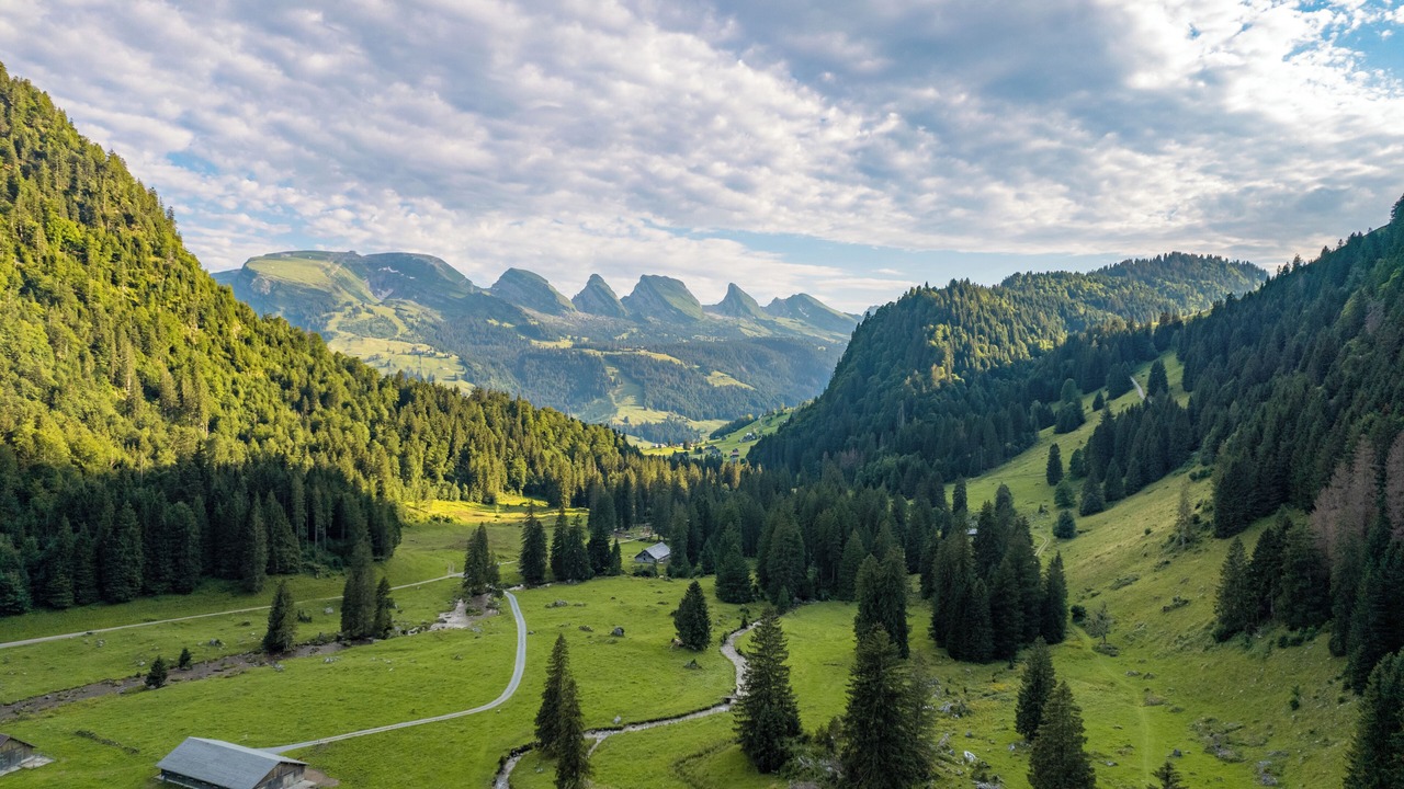 Photo of Others in Wildhaus