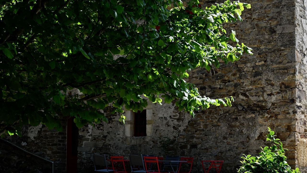 Photo of Outdoor in Saint-Paul-la-Roche