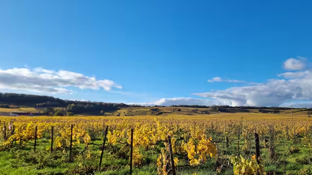 Photo of Others in Chaintrix-Bierges