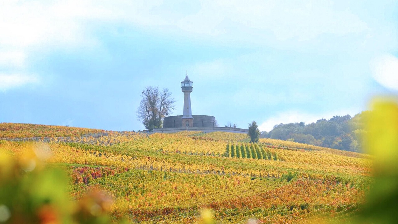 Photo of Bedroom in Chaintrix-Bierges