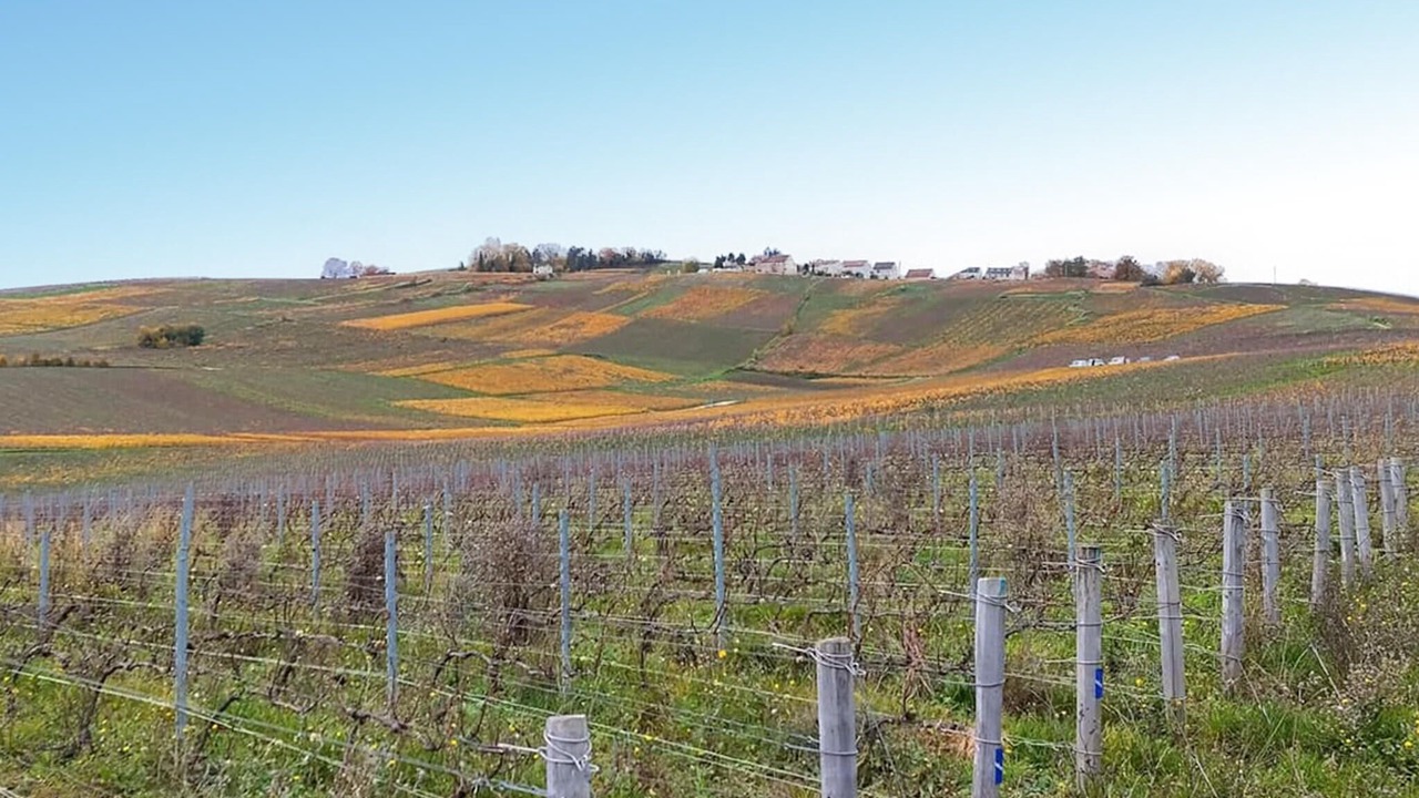 Photo of Others in Chaintrix-Bierges