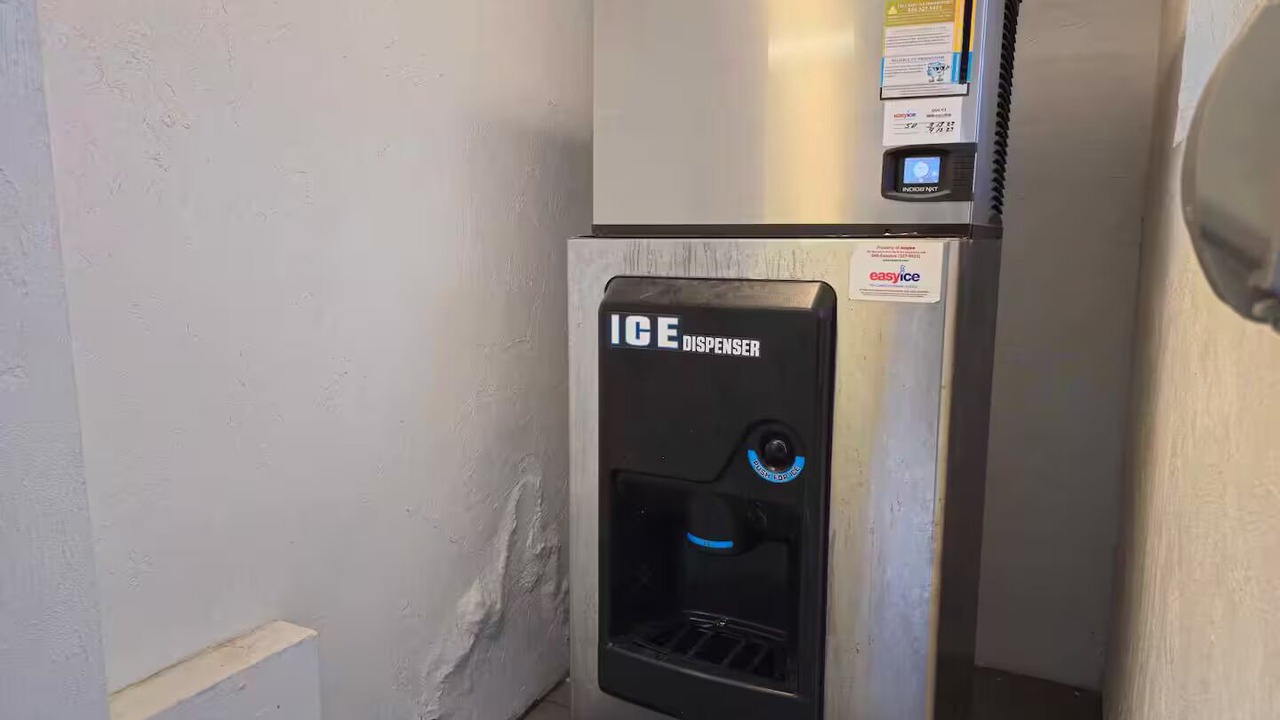 Photo of Others in Rogers Seabreeze