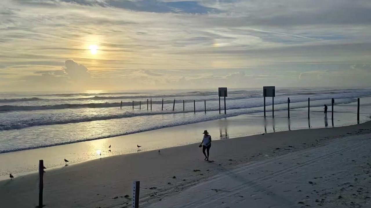 Photo of Others in Rogers Seabreeze