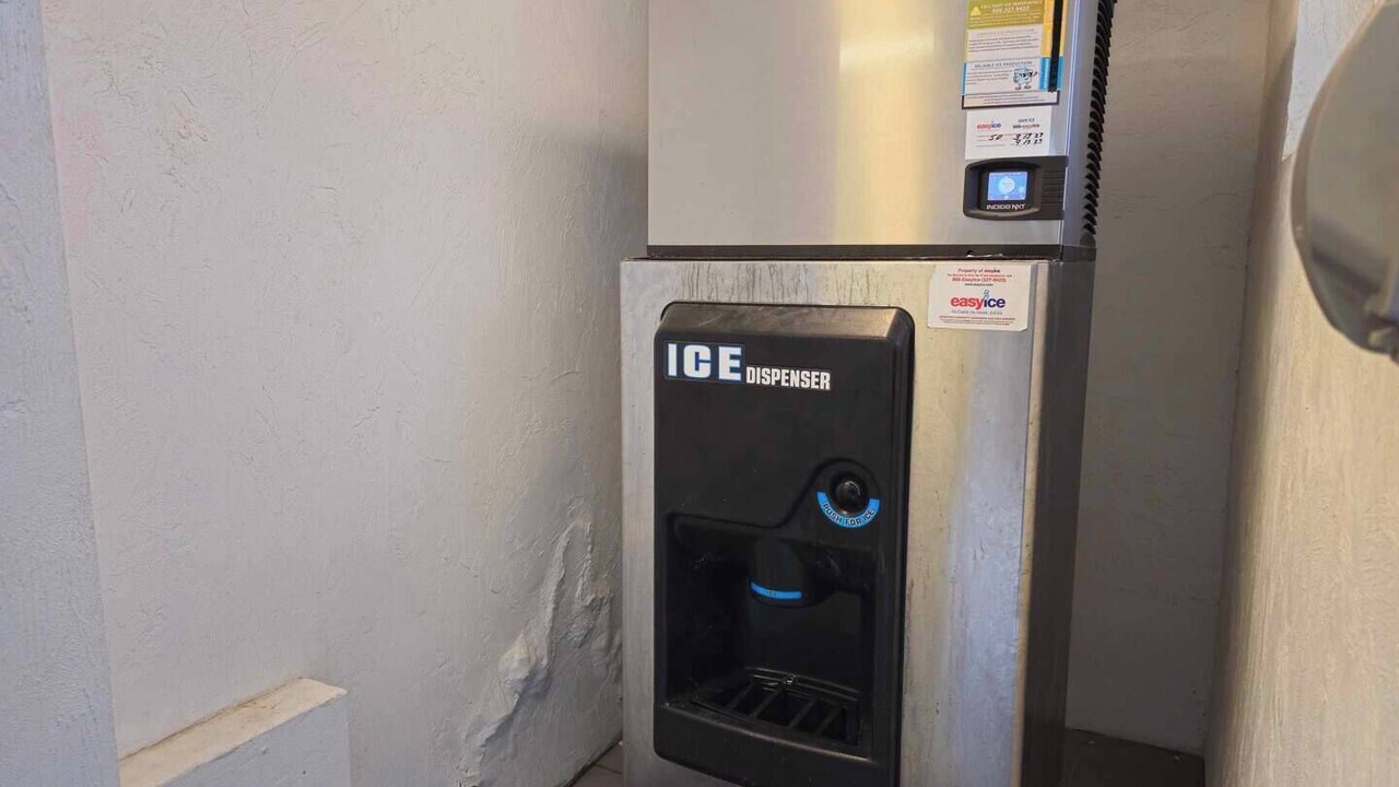 Photo of Others in Rogers Seabreeze