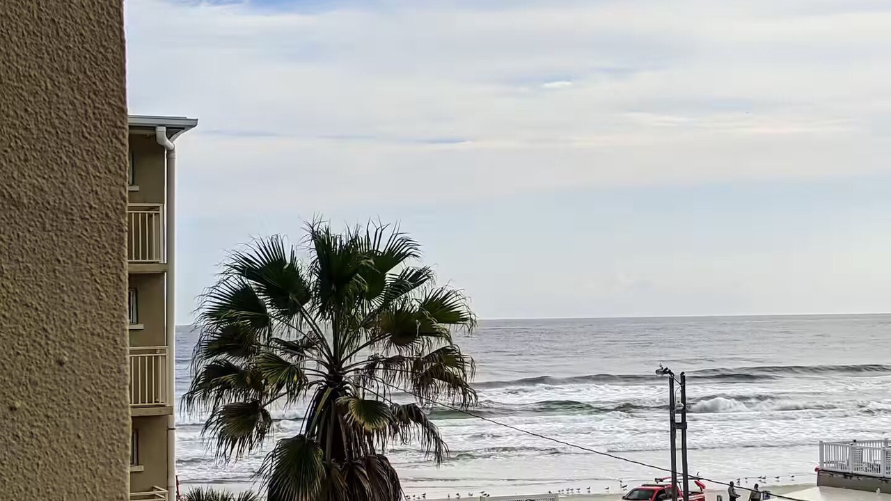 Photo of Others in Rogers Seabreeze