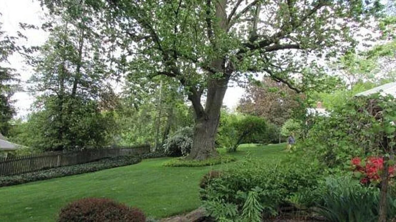 Photo of Outdoor in Grantley