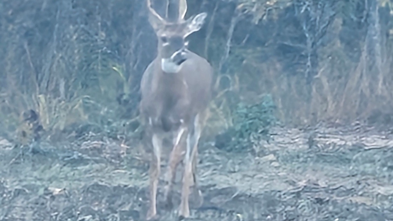 Photo of Others in Blocker