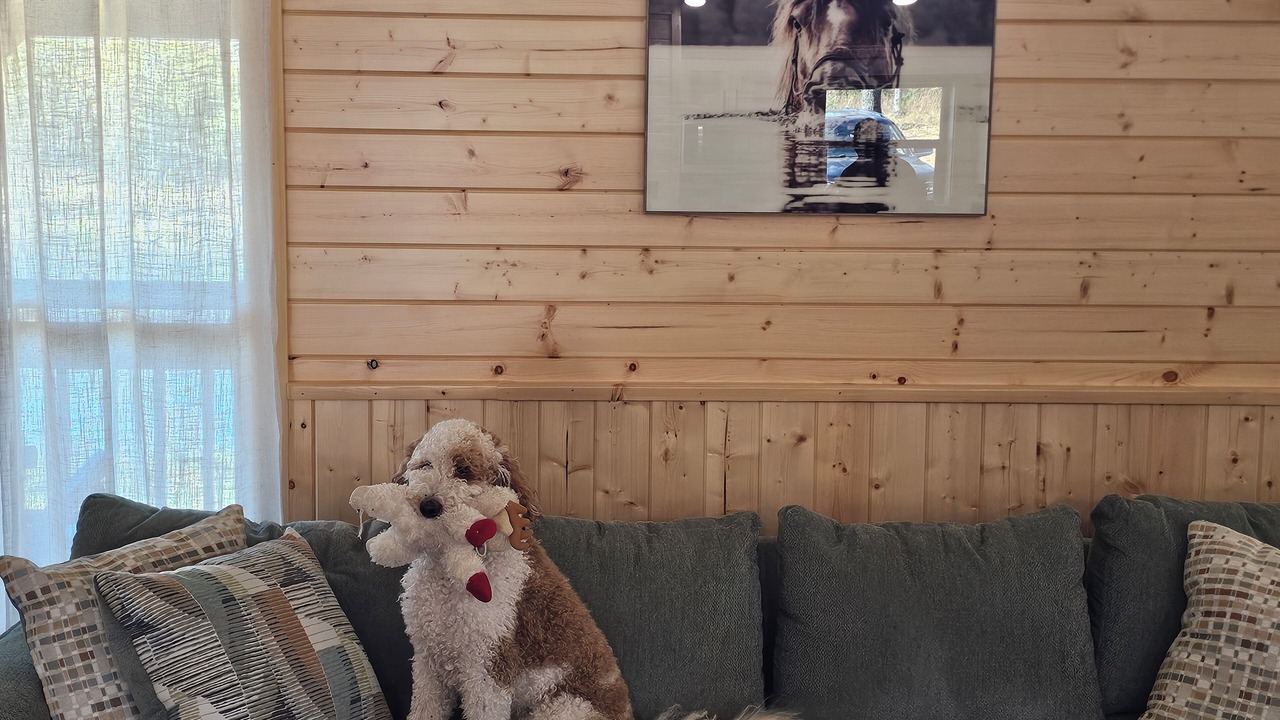 Photo of Livingroom in Blocker