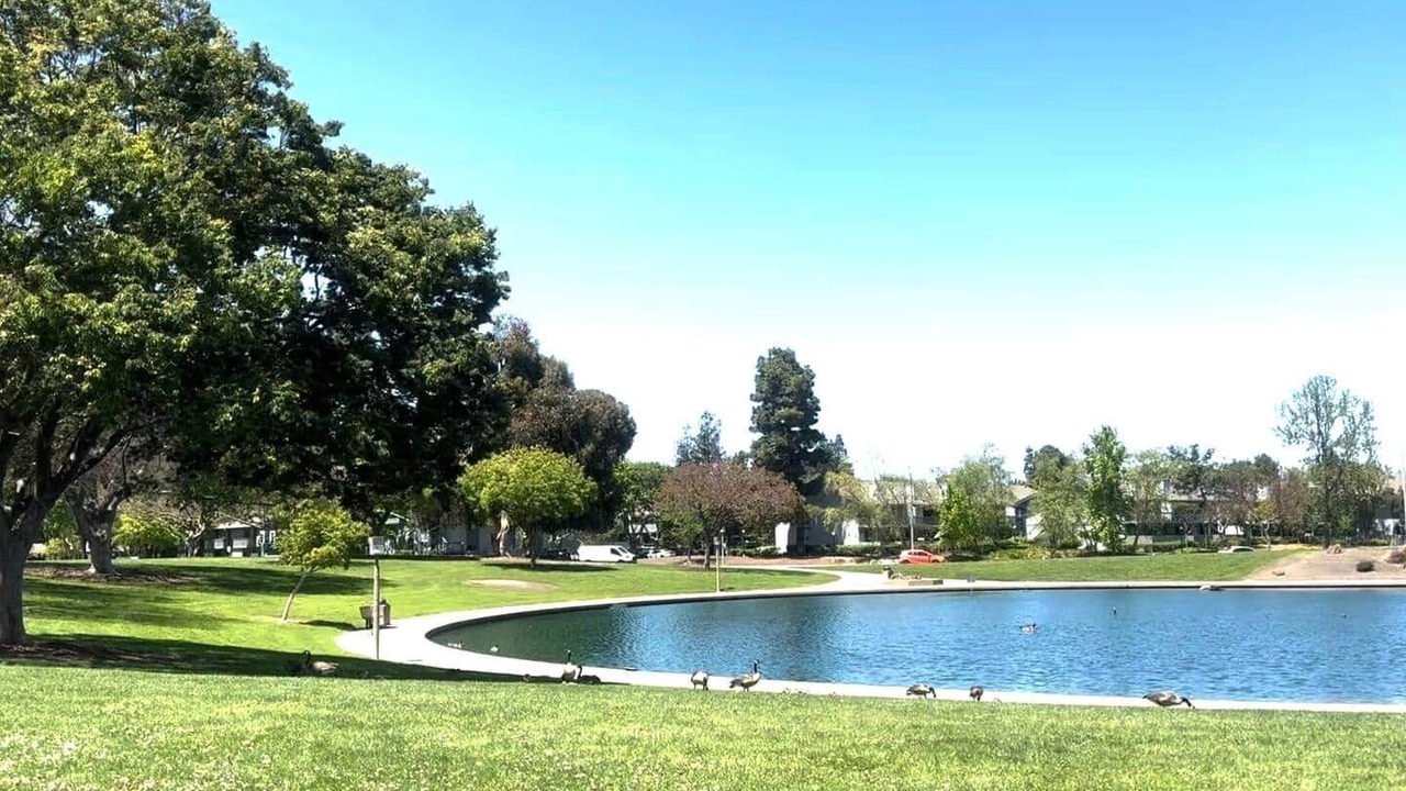 Photo of Outdoor in Sunnyvale
