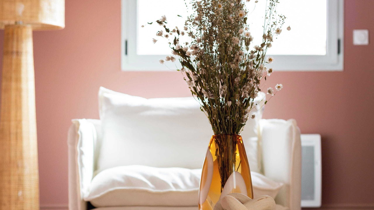 Photo of Others in Bagneres-de-Bigorre