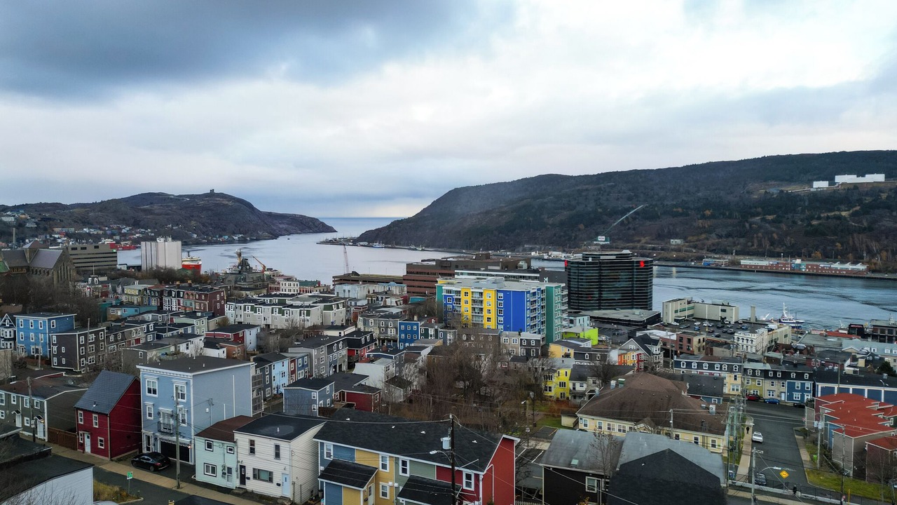 Photo of Others in Downtown St. John's