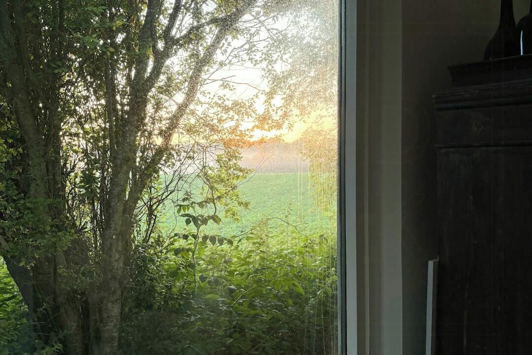 Photo of Others in Vesterborg