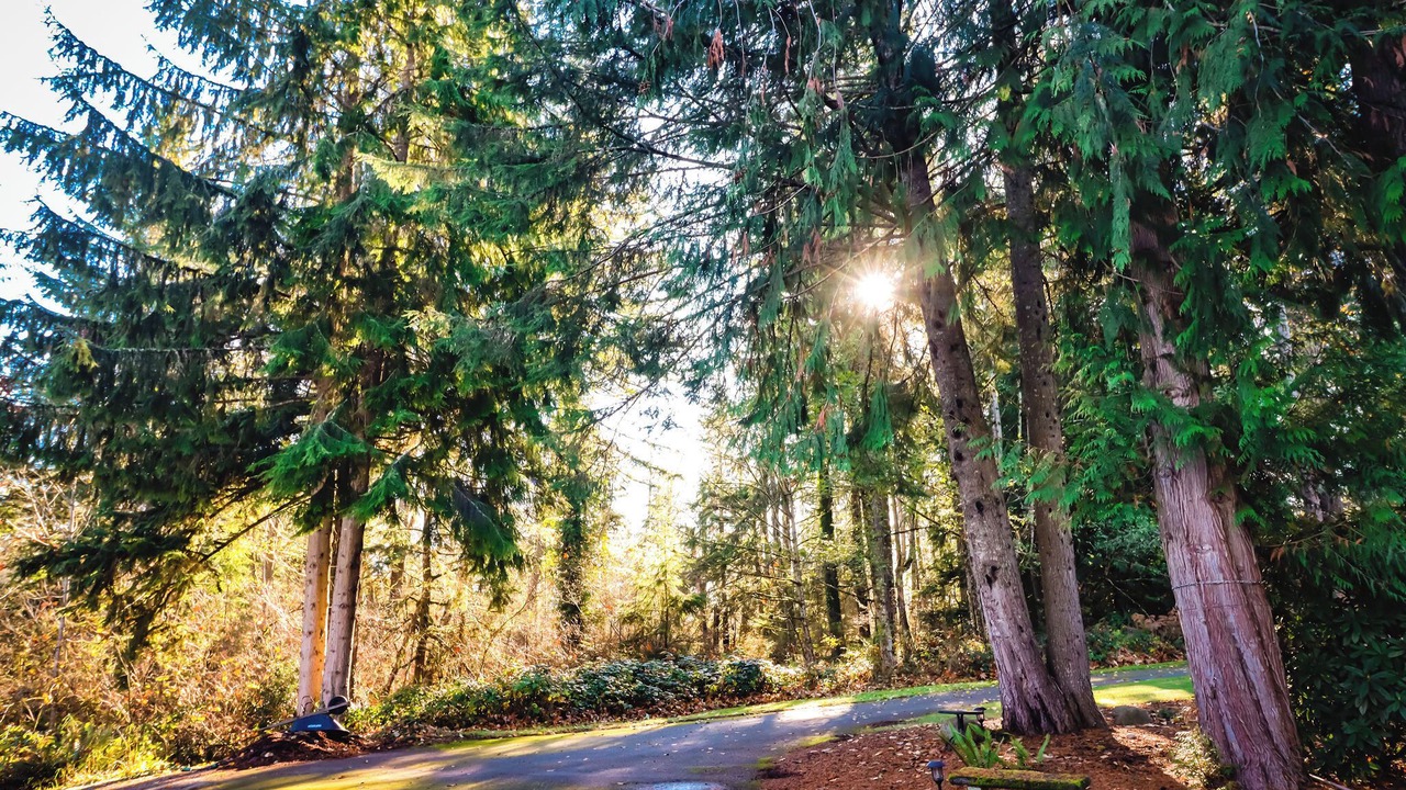 Photo of Outdoor in Hobart