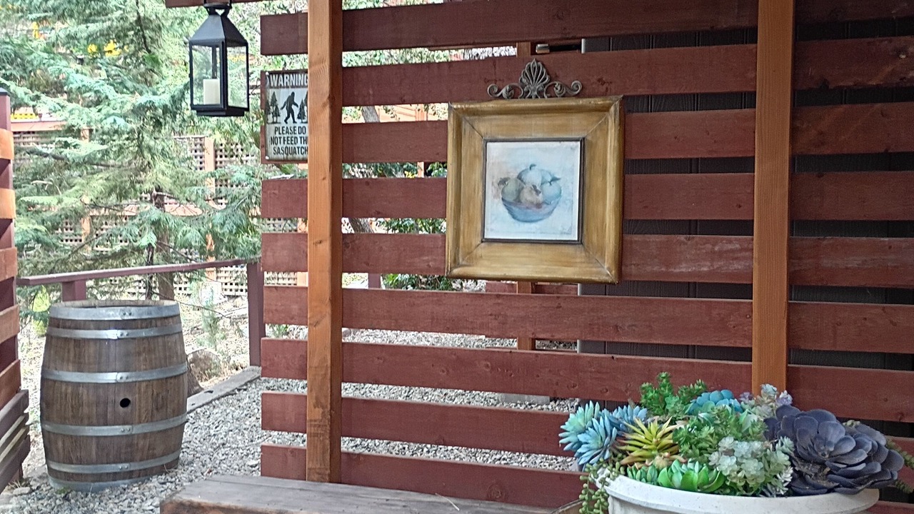 Photo of Outdoor in Idyllwild