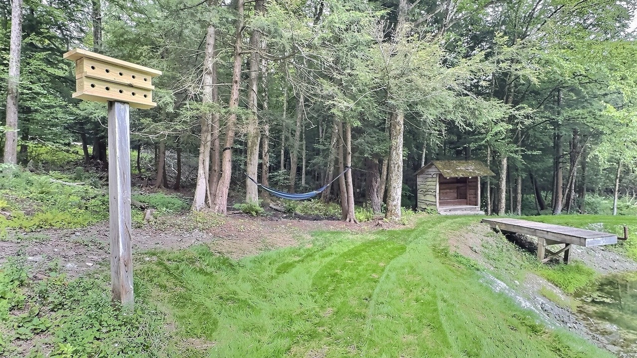 Photo of Outdoor in Ellicottville