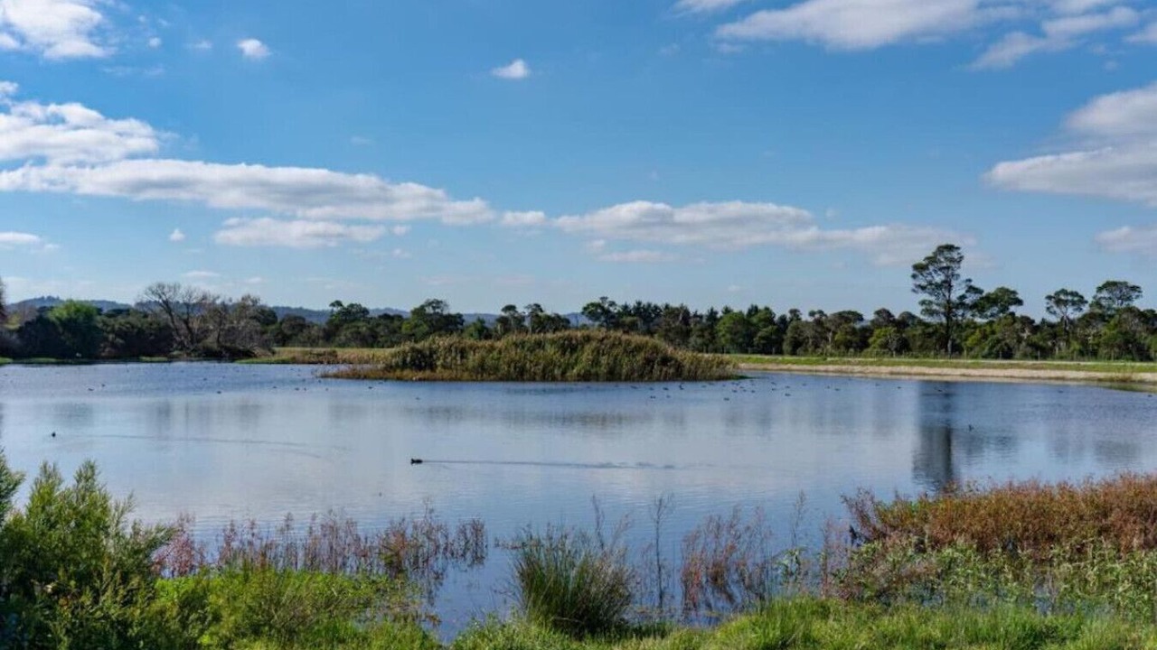 Photo of Others in Berwick