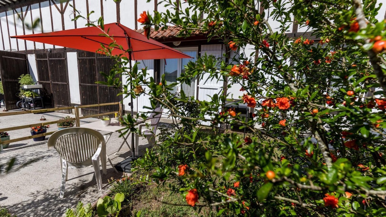 Photo of Outdoor in Hinx