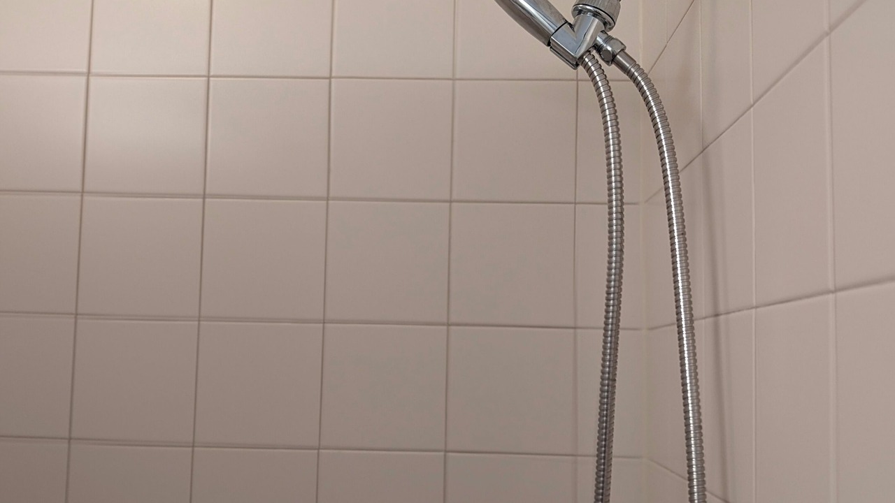 Photo of Bathroom in Lutz