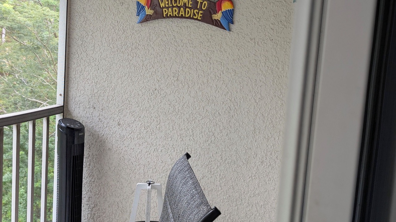 Photo of Others in Lutz