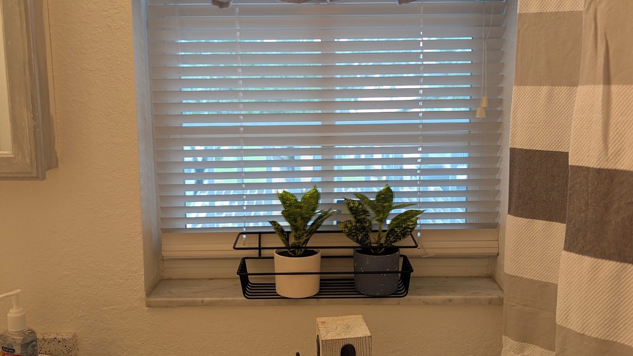 Photo of Bathroom in Lutz