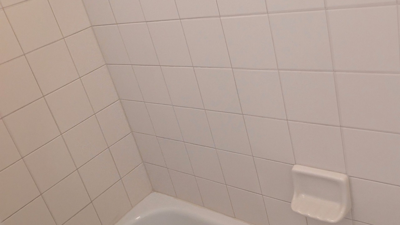 Photo of Bathroom in Lutz