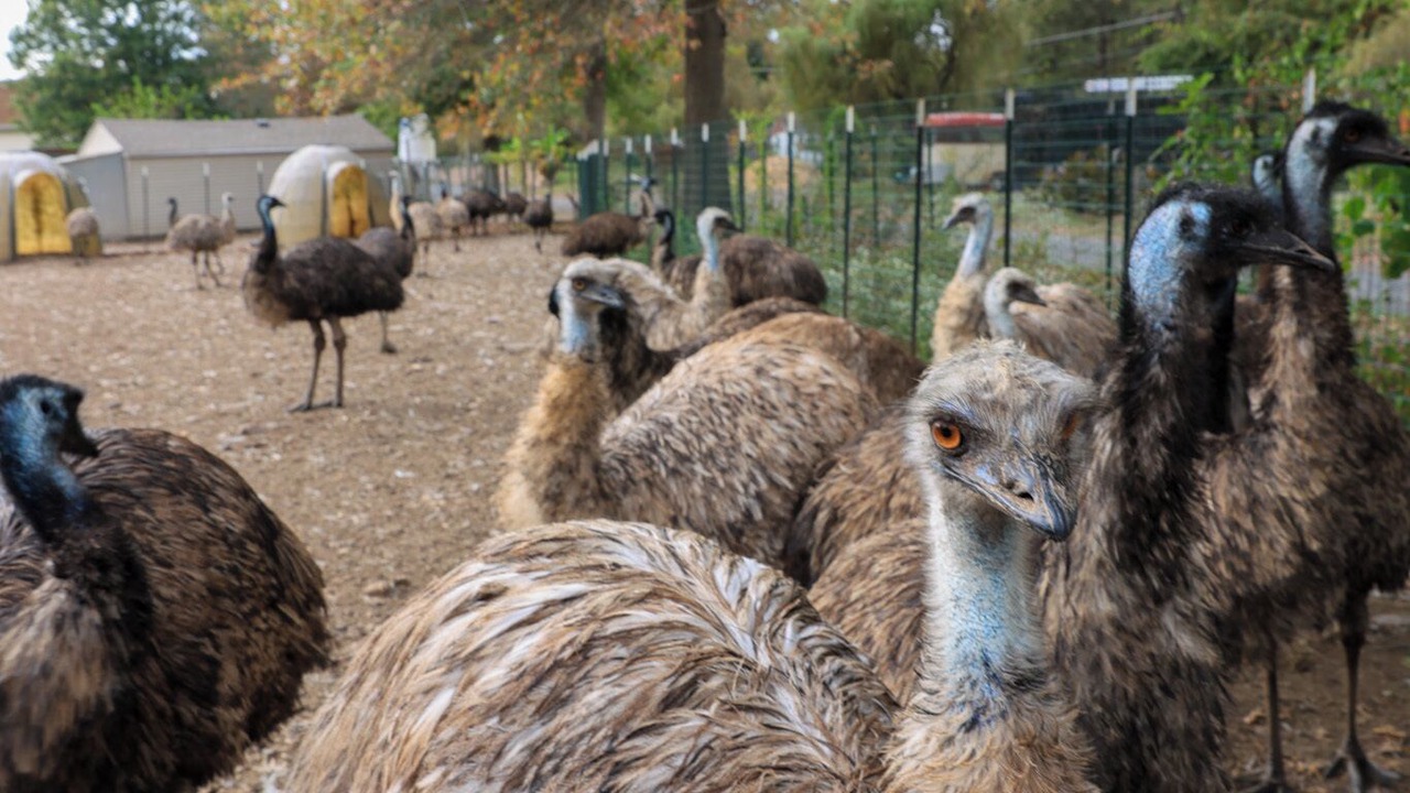 Photo of Others in Penns Park