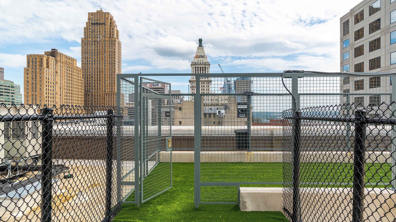 Photo of Outdoor in Downtown Cincinnati