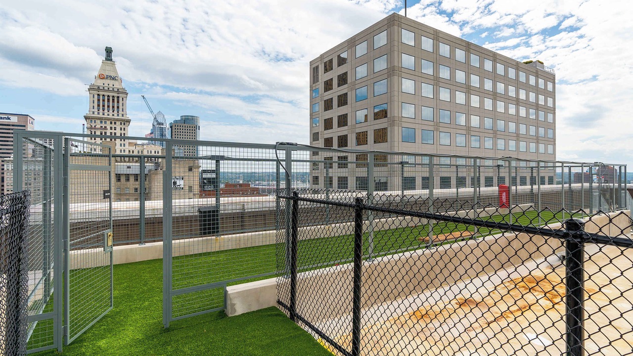 Photo of Outdoor in Downtown Cincinnati