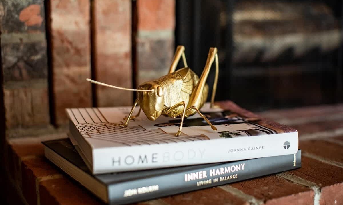 Photo of Others in Stowe Area