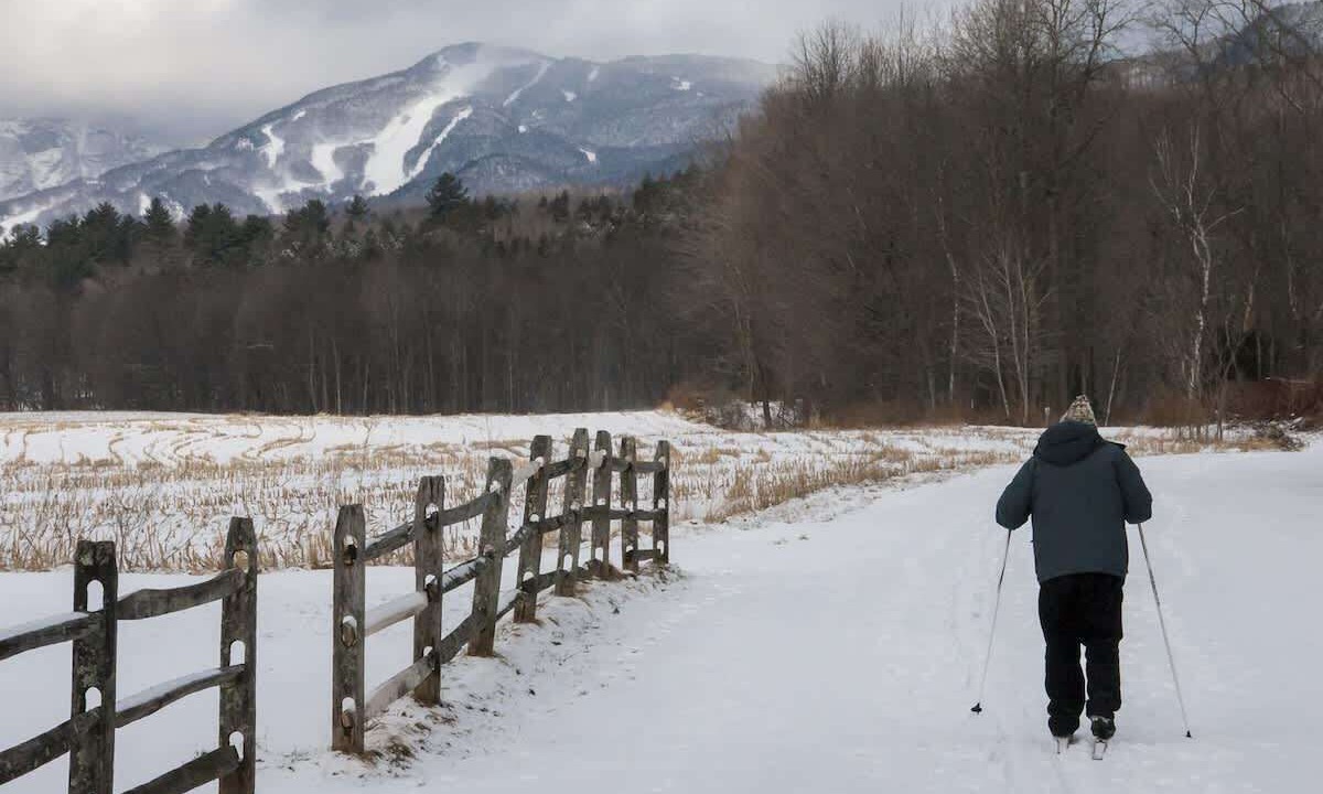 Photo of Others in Stowe Area