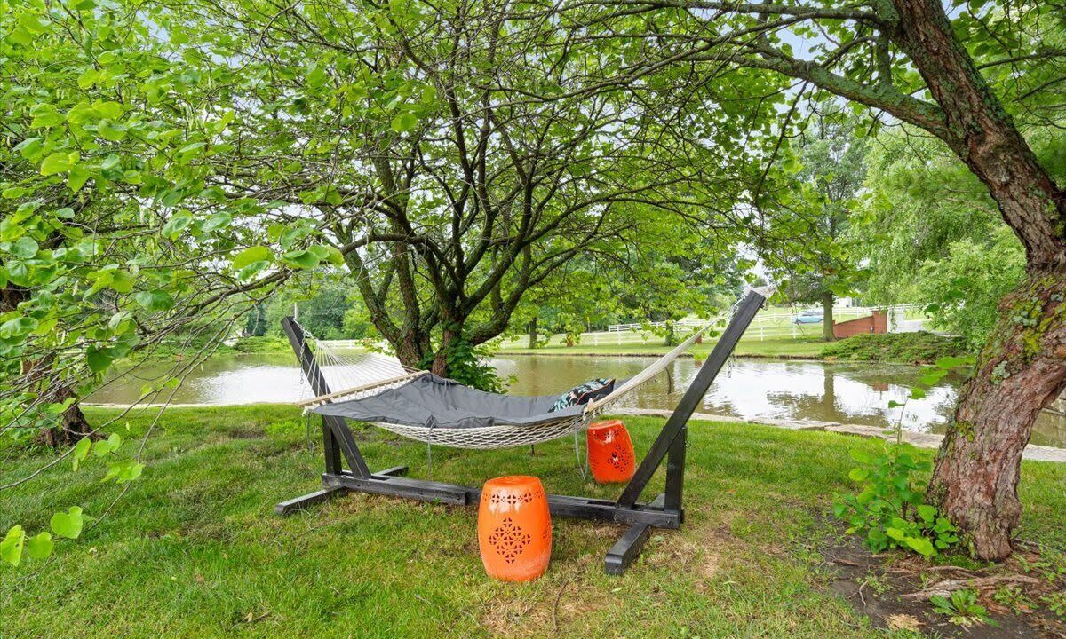 Photo of Outdoor in Lee's Summit