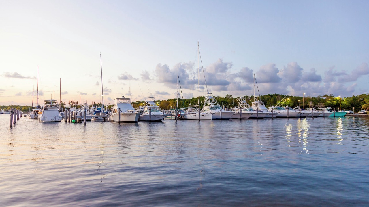 Photo of Others in Palmetto Bay