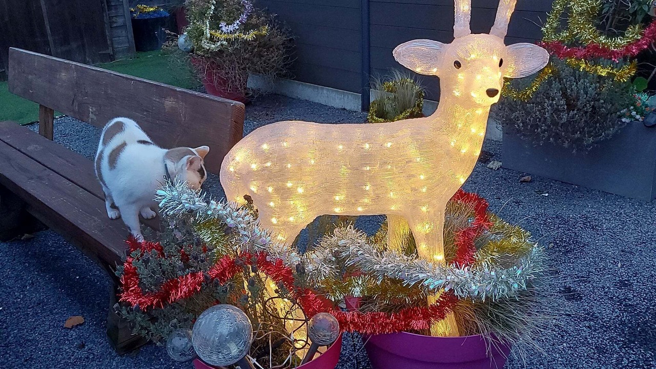 Photo of Outdoor in Mericourt