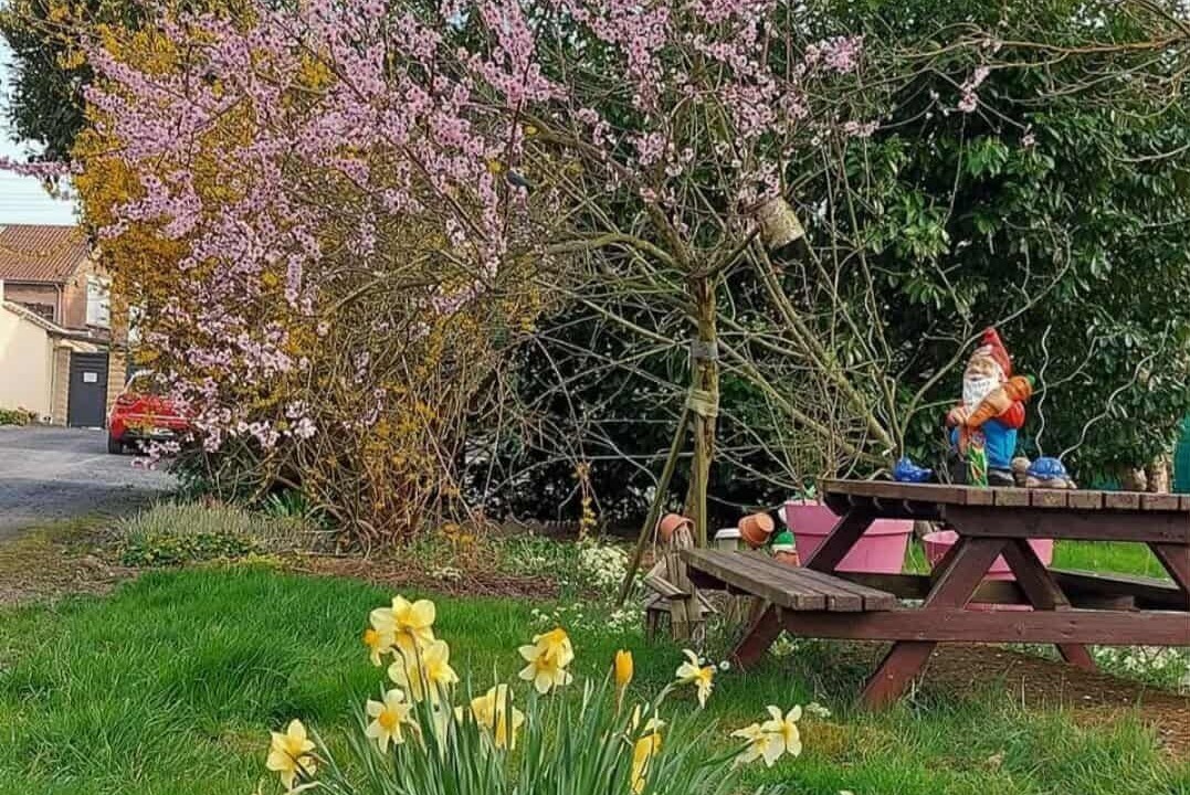 Photo of Outdoor in Mericourt